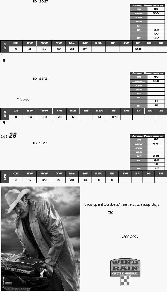    ID: S037                  CE BW WW YW Mlk IMF REA BF $W $F $G $B EPD 9 .3 37 67 24 0* - -  12.11   *      ID: S515              Y Coed    CE BW WW YW Mlk IMF REA BF $W $F $G $B EPD 8 1.4 39 70 17 - 14 -.019       Lot 28    ID: S039                  CE BW WW YW Mlk IMF REA BF $W $F $G $B EPD 8 1.7 39 73 20 .14 .16 0        Your operation doesnt just run on sunny days. TM -800-227-   Actual Performance BW 88 AWW 699 AYW  ADG  IMF  RE 12.0  .90 BF .20 Actual Performance BW 69 AWW 668 AYW  ADG  IMF  RE   1.1 BF .16 Actual Performance BW 88 AWW 673 AYW  ADG  IMF 3.38 RE 12.0  1.0 BF .23 