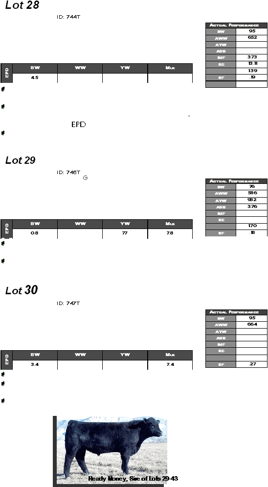  Lot 28    ID: 744T                        - EPD   Lot 29   ID: 746T    G                       Lot 30    ID: 747T                                      Actual Performance BW 95 AWW 652 AYW  ADG  IMF 3.73 RE 13.11  1.39 BF .19   BW WW YW Mlk EPD 4.5    Actual Performance BW 76 AWW 586 AYW 982 ADG 3.76 IMF  RE   1.70 BF .18 BW WW YW Mlk EPD 0.8  77 7.8 Actual Performance BW 95 AWW 664 AYW  ADG  IMF  RE    BF .27 BW WW YW Mlk EPD 3.4   7.4  Ready Money, Sire of Lots 29-43 