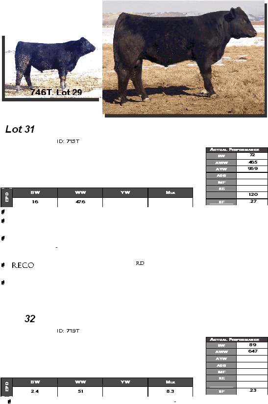                    Lot 31    ID: 715T                            -  Record   32    ID: 719T                        -     Actual Performance BW 72 AWW 465 AYW 969 ADG  IMF  RE   1.20 BF .27 BW WW YW Mlk EPD 1.6 47.6   Actual Performance BW 89 AWW 647 AYW  ADG  IMF  RE    BF .23 BW WW YW Mlk EPD 2.4 51  8.3  746T, Lot 29 