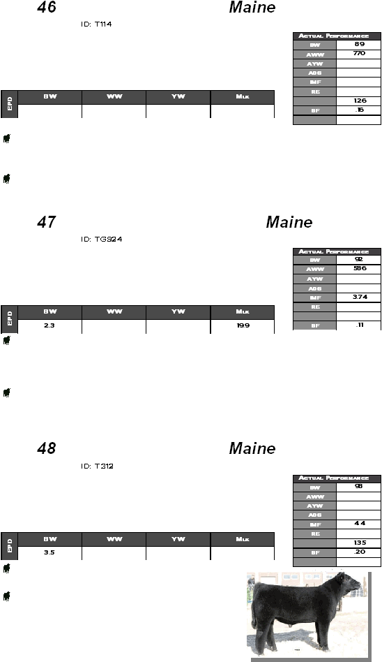  46  Maine  ID: T114                           47  Maine  ID: TG924                           48  Maine  ID: T312                                Actual Performance BW 89 AWW 770 AYW  ADG  IMF  RE   1.26 BF .16   BW WW YW Mlk EPD     Actual Performance BW 92 AWW 586 AYW  ADG  IMF 3.74 RE    BF .11 BW WW YW Mlk EPD 2.3   19.9 Actual Performance BW 98 AWW  AYW  ADG  IMF 4.4 RE   1.35 BF .20   BW WW YW Mlk EPD 3.5    TG924, Lot 47  