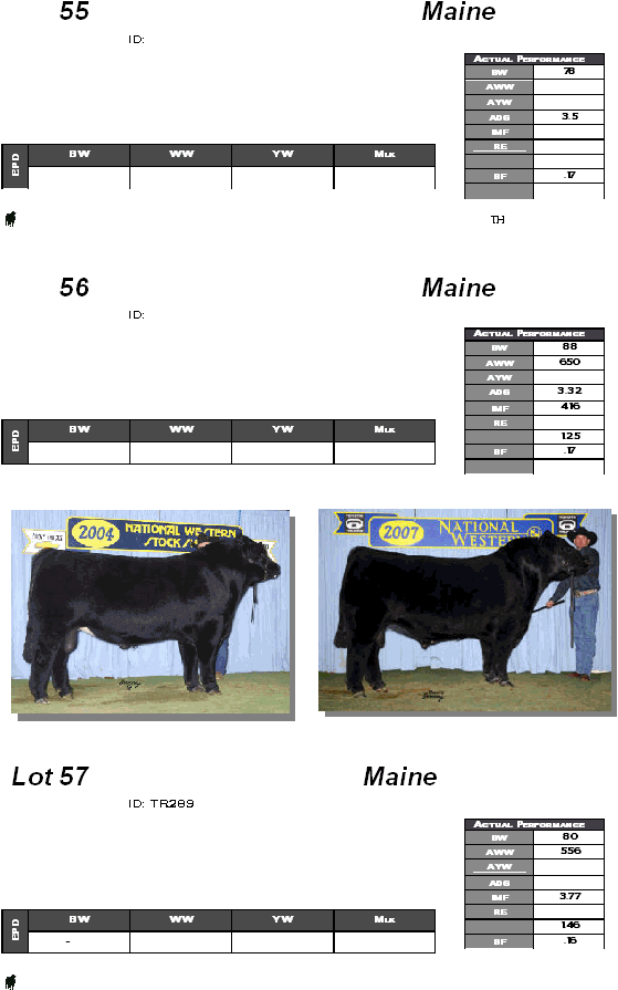 55  Maine  ID:                         th 56  Maine  ID:                                        Lot 57  Maine  ID: TR289                             Actual Performance BW 78 AWW  AYW  ADG 3.5 IMF  RE    BF .17   BW WW YW Mlk EPD     Actual Performance BW 88 AWW 650 AYW  ADG 3.32 IMF 4.16 RE   1.25 BF .17   BW WW YW Mlk EPD     Actual Performance BW 80 AWW 556 AYW  ADG  IMF 3.77 RE   1.46 BF .16 BW WW YW Mlk EPD -      