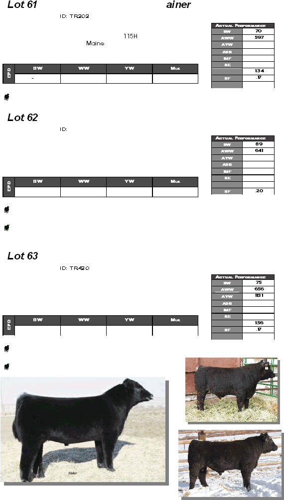 Lot 61  ainer  ID: TR202          115H   Maine             Lot 62    ID:                             Lot 63    ID: TR420                                         Actual Performance BW 70 AWW 597 AYW  ADG  IMF  RE   1.34 BF .17   BW WW YW Mlk EPD -    Actual Performance BW 89 AWW 641 AYW  ADG  IMF  RE    BF .20 BW WW YW Mlk EPD     Actual Performance BW 75 AWW 656 AYW 1131 ADG  IMF  RE   1.56 BF .17   BW WW YW Mlk EPD        