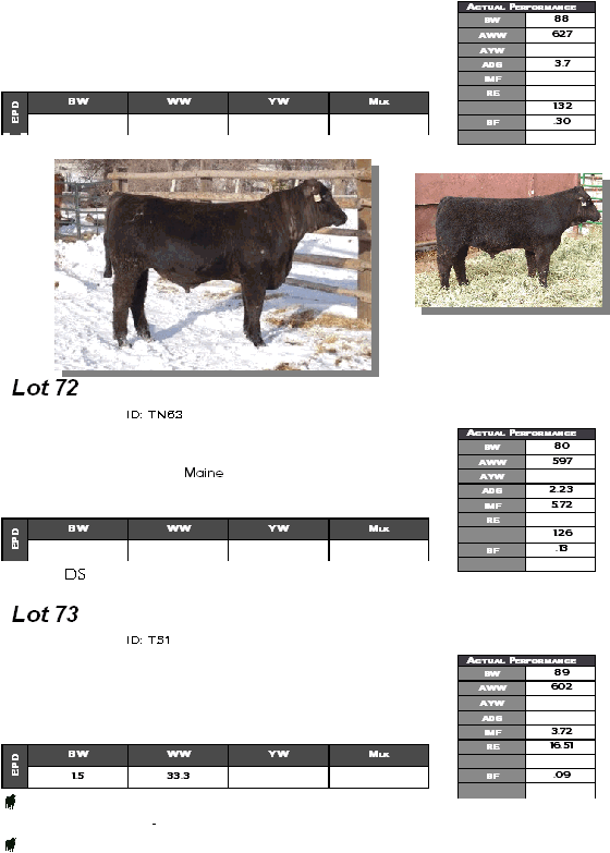                                   Lot 72    ID: TN63            Maine          Ds Lot 73    ID: T51                       -            Actual Performance BW 88 AWW 627 AYW  ADG 3.7 IMF  RE   1.32 BF .30   BW WW YW Mlk EPD     Actual Performance BW 80 AWW 597 AYW  ADG 2.23 IMF 5.72 RE   1.26 BF .13   BW WW YW Mlk EPD     Actual Performance BW 89 AWW 602 AYW  ADG  IMF 3.72 RE 16.51   BF .09   BW WW YW Mlk EPD 1.5 33.3     