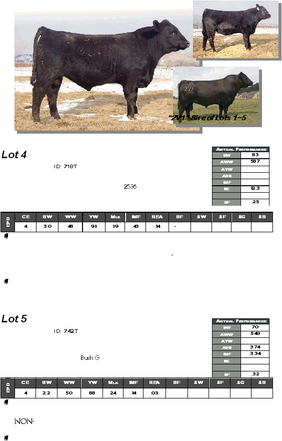   Lot 4    ID: 718T          2536         CE BW WW YW Mlk IMF REA BF $W $F $G $B EPD 4 3.0 48 91 19 .43 .14 -      -   Lot 5    ID: 742T            Bush G      CE BW WW YW Mlk IMF REA BF $W $F $G $B EPD 4 2.2 50 88 24 .14 .03       non-   Actual Performance BW 83 AWW 587 AYW  ADG  IMF  RE 12.3   BF .25 Actual Performance BW 70 AWW 549 AYW  ADG 3.74 IMF 3.34 RE    BF .32   2V1 Sire of Lots 1~5 